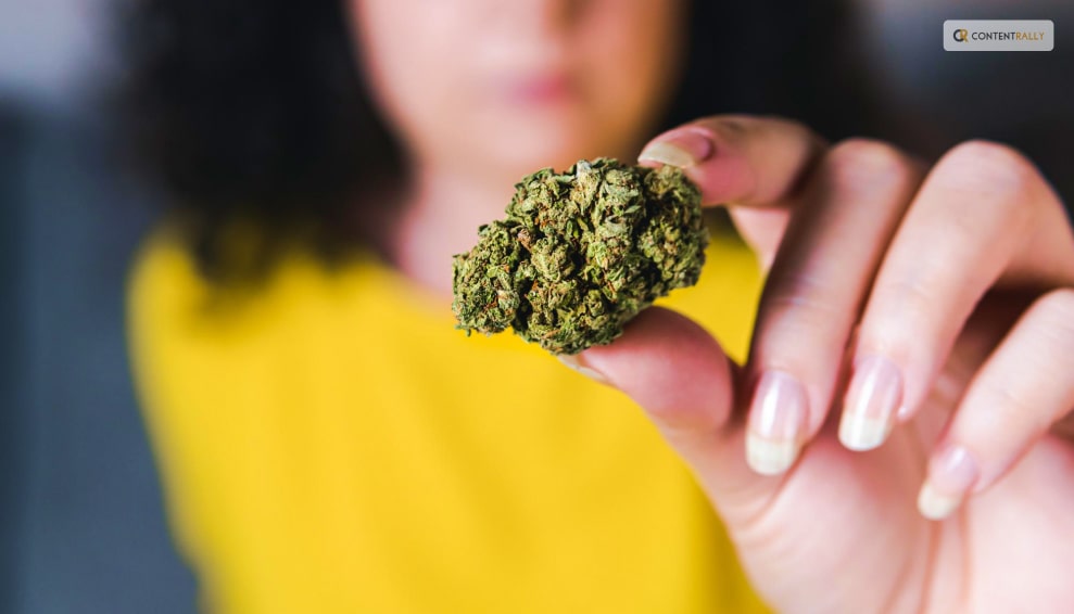 Before We Dive In: A Word On Cannabis Strains 